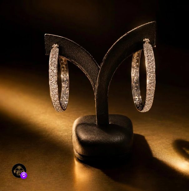 Aros de plata con circonitas Terry's Oro